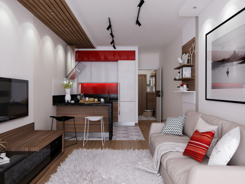 Дизайн однокомнатной квартиры с кроватью 48 фото идеи интерьера и зонирования