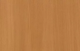 Шкаф распашной Зодиак 1
