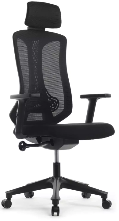 Кресло Riva Chair RCH RCH A2101, Черный